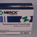 Merck Testosteron Enanthate 250mg 10amp