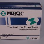 Merck Testosteron Enanthate 250mg 10amp