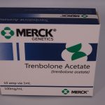 Merck Testosteron Enanthate 250mg 10amp