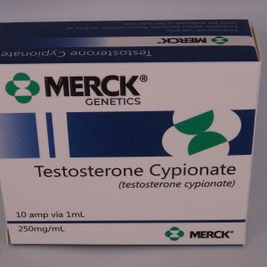 Merck Testosteron Enanthate 250mg 10amp