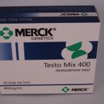 Merck Testosteron Enanthate 250mg 10amp